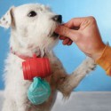 Holder  til  hundeposer  (med  15  poser) - Alle gadgets - 1