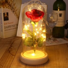 Rose lanterne med LED lys - Lamper - 3