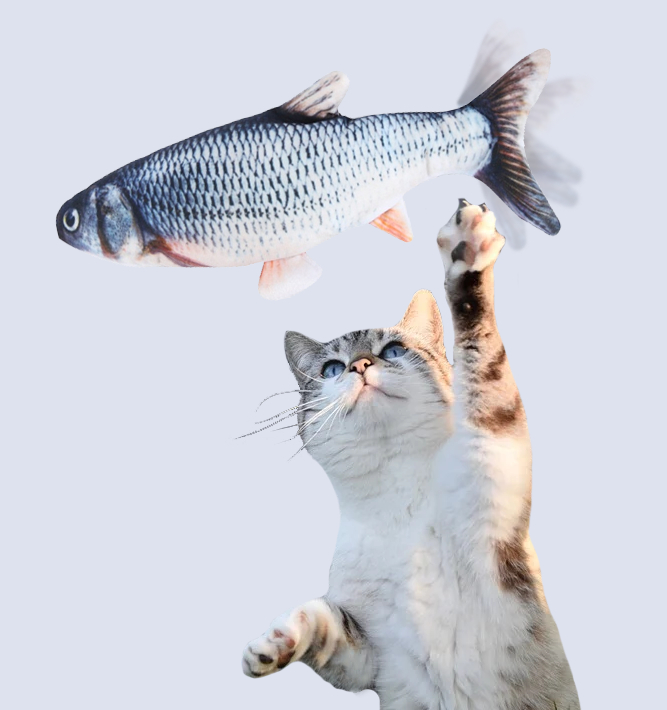 Sprællende legefisk til katte