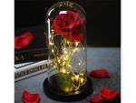 Rose lanterne med LED lys