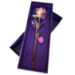 Holografisk rose med LED lys