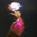 Holografisk rose med LED lys