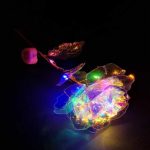 Holografisk rose med LED lys