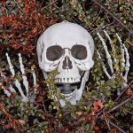 Kæmpe Halloween Skelet – 170 cm