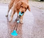 Aktivitetsbold med sugekop til hunde
