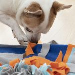 Legetæppe til hunde Legetæppe til hunde