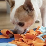 Legetæppe til hunde Legetæppe til hunde