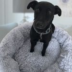 Donut hundeseng med plys – Flere farver