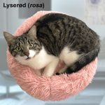 Donut hundeseng med plys – Flere farver