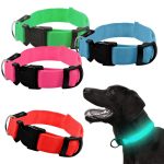 Hundehalsbånd med LED-lys Hundehalsbånd med LED-lys