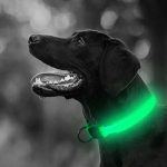 Hundehalsbånd med LED-lys Hundehalsbånd med LED-lys