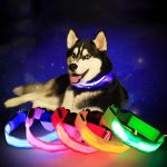 Hundehalsbånd med LED-lys Hundehalsbånd med LED-lys