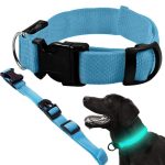 Hundehalsbånd med LED-lys Hundehalsbånd med LED-lys