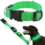 Hundehalsbånd med LED-lys Hundehalsbånd med LED-lys