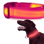 Hundehalsbånd med LED-lys Hundehalsbånd med LED-lys