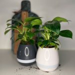 Pop-pots – den musikalske potte
