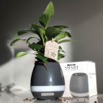 Pop-pots – den musikalske potte