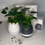 Pop-pots – den musikalske potte