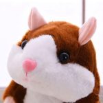 Talende hamster – Gentager hvad du siger Talende hamster – Gentager hvad du siger