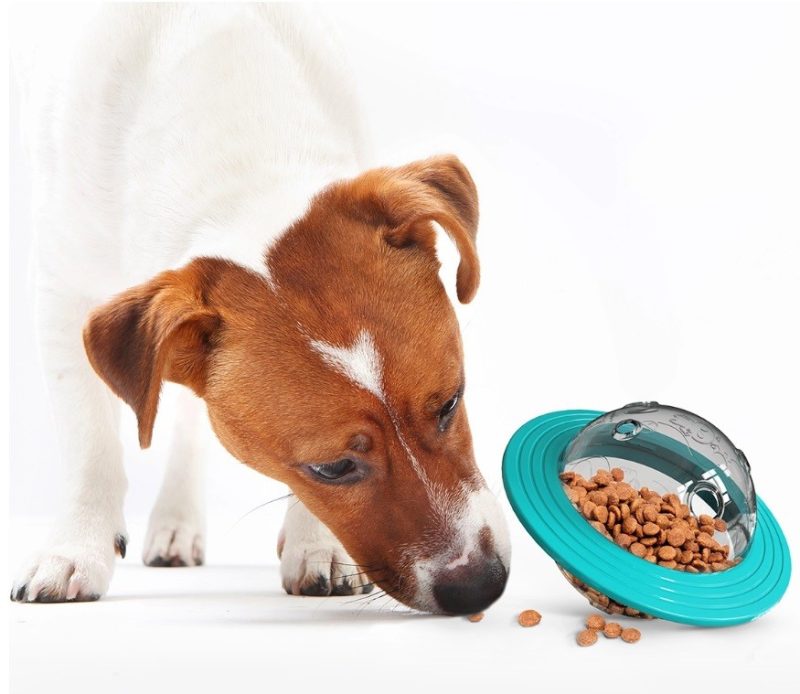 Aktivitetsbold til hunde der spiser for hurtigt