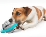Aktivitetsbold til hunde der spiser for hurtigt