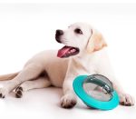 Aktivitetsbold til hunde der spiser for hurtigt