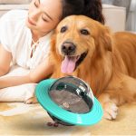 Aktivitetsbold til hunde der spiser for hurtigt