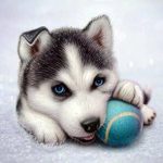 Husky hvalp 5D diamond paint – 40 x 40 cm