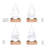 Storm  Glass Large –  Din  Vejrstation