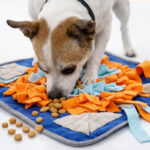 Legetæppe til hunde