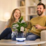 Pop-pots – den musikalske potte