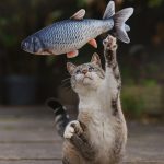 Sprællende legefisk til katte